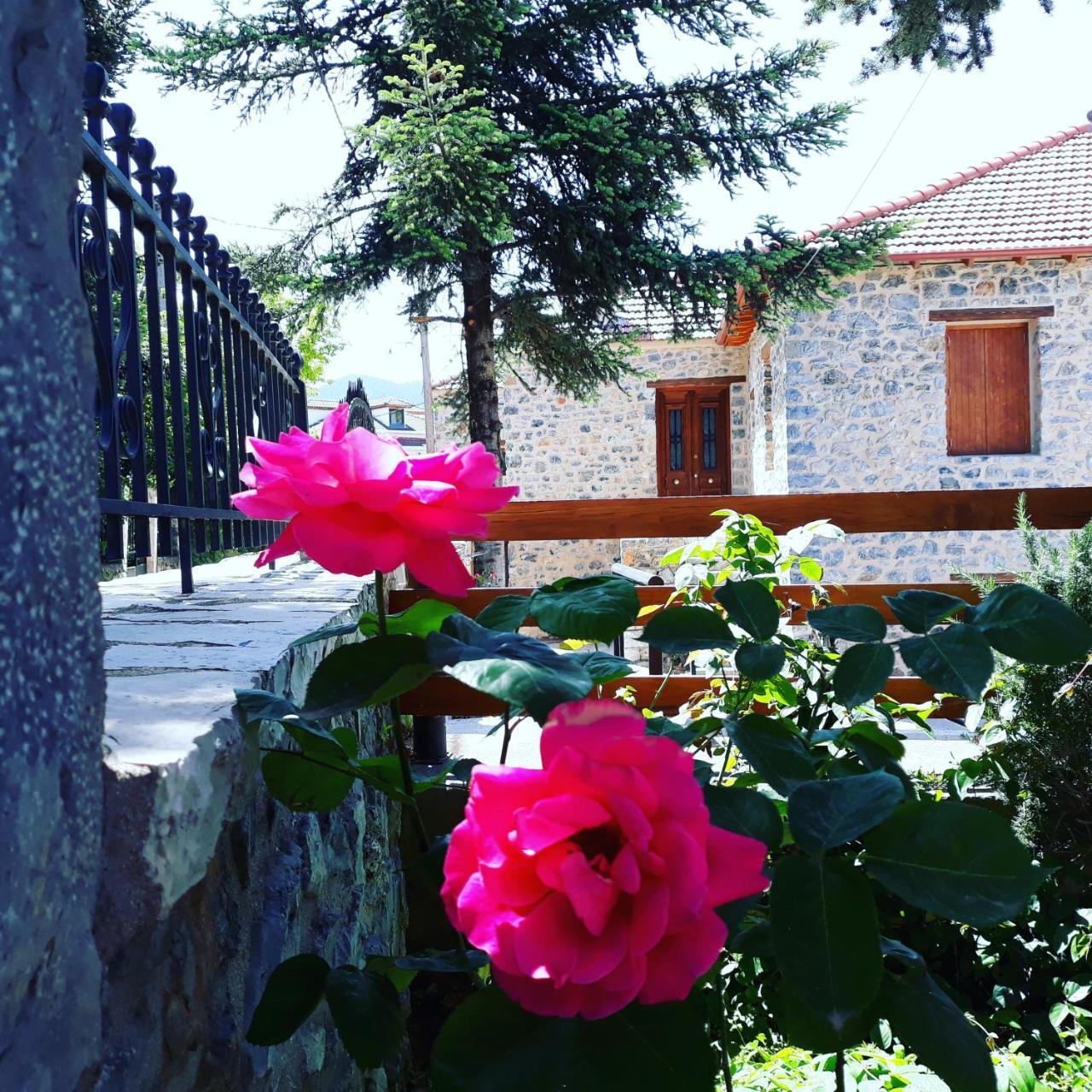 Archontiko Nikolopoulou Hotel Vitina Ngoại thất bức ảnh